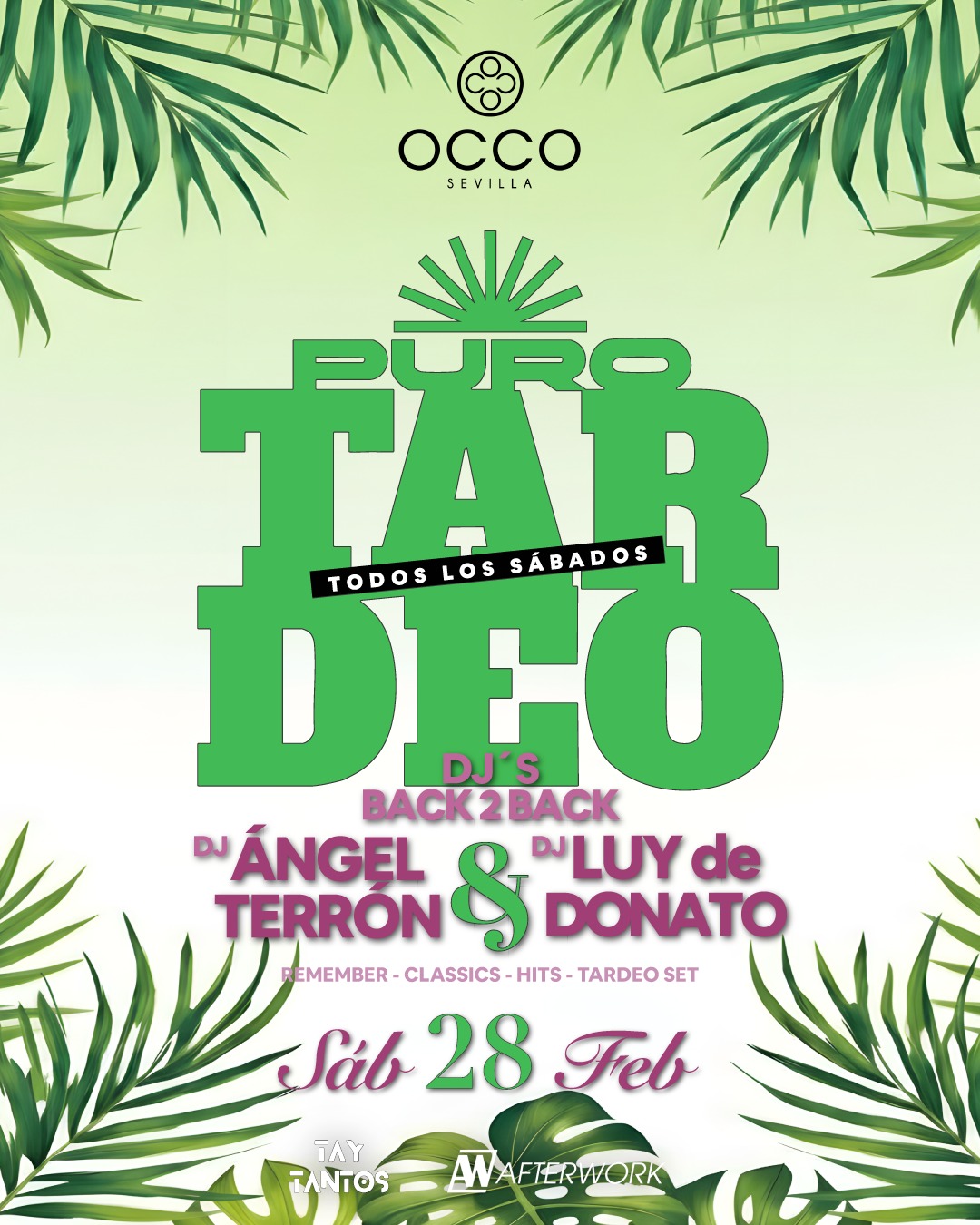 Inicio 4 WhatsApp Image 2026 02 20 at 08.56.53 1