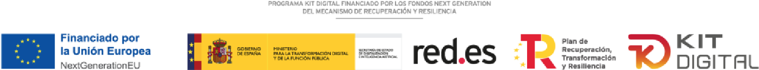 subvencion kit digital